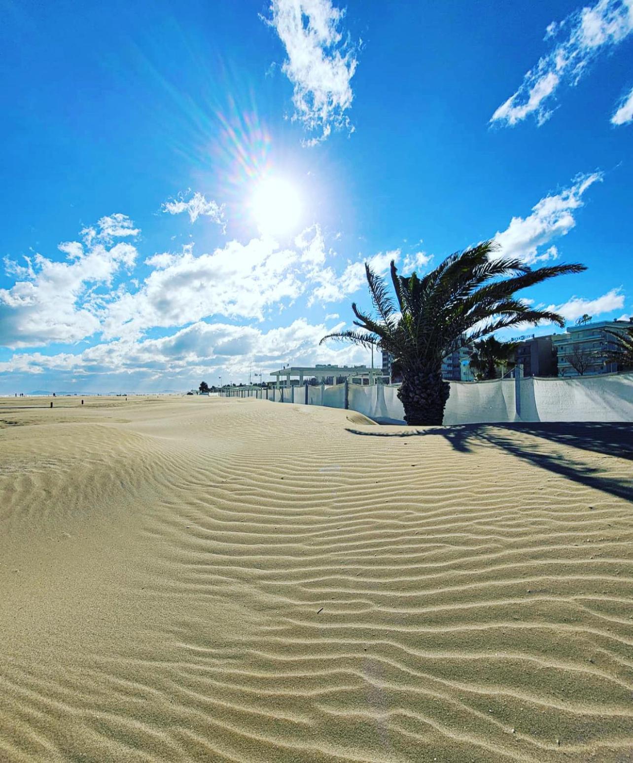 Hotel Blue Moon Rimini Dış mekan fotoğraf